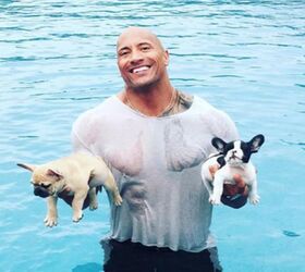 The Rock In A Wet T-Shirt Holding 2 Puppies. You’re Welcome