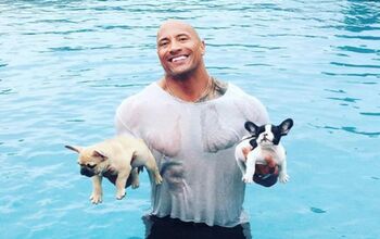 The Rock In A Wet T-Shirt Holding 2 Puppies. You’re Welcome