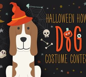 Enter PetGuide’s Halloween Howl Dog Costume Contest