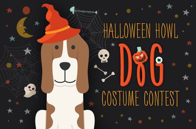 enter petguides halloween howl dog costume contest