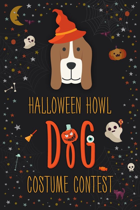 enter petguides halloween howl dog costume contest