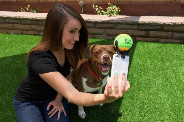 say 8220 selfie 8221 get in front of the pooch selfie smartphone attachment