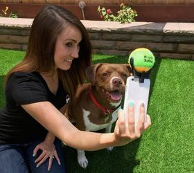 say selfie get in front of the pooch selfie smartphone attachme