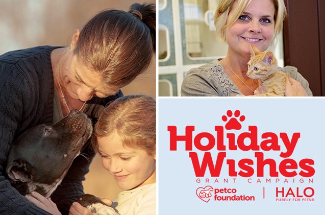 wishes do come true thanks to petco foundation 8217 s holiday wishes campaign