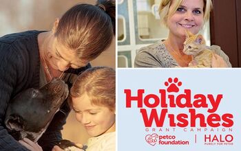 Wishes Do Come True, Thanks To Petco Foundation’s Holiday Wishes Cam