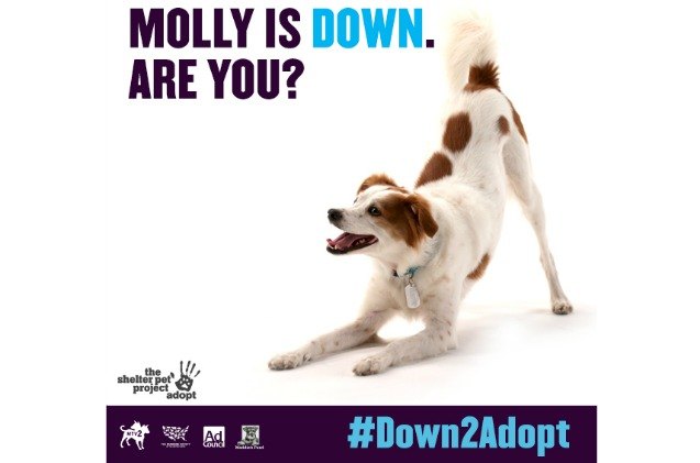 mtv2 wants to know if you 8217 re down2adopt video