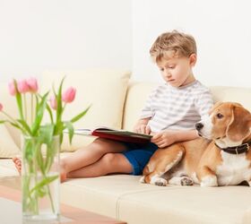 Best Must-Have Dog Books For Kids