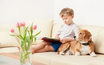 Best Must-Have Dog Books For Kids