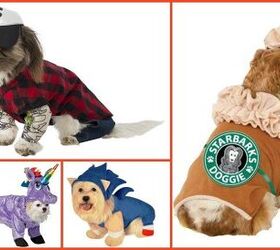 Top 10 Dog Halloween Costumes