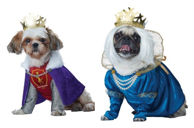 top 10 dog halloween costumes