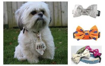 Top 10 Dog Bow Ties For 2015