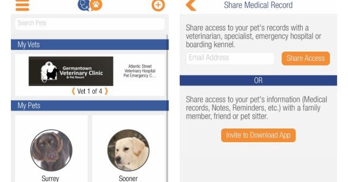 VitusVet App Gives You Access To Your Dog’s Medical Records 24/7 PetGuide