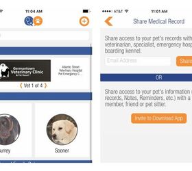 vitusvet app gives you access to your dogs medical records 24 7