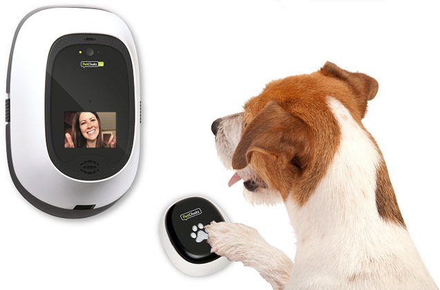 just called to say woof petchatz 8217 s pawcall lets your dog call you