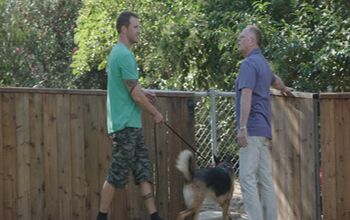 Lucky The Dog Tells His Rags-To-Spokes-Dog Story On CBS’ “Lucky Do