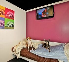 Pets Are Living The Good Life At New York City’s D Pets Hotel