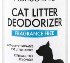 5 fresh and effective ways to control litter box odor