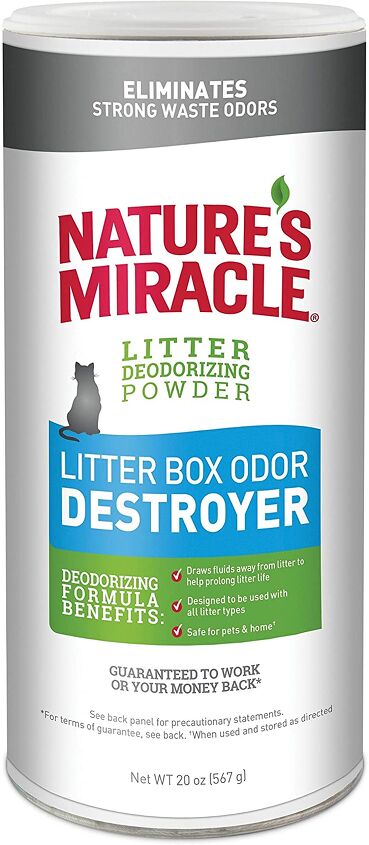 5 fresh and effective ways to control litter box odor