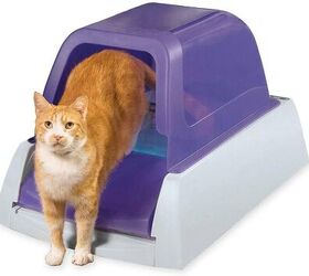 Fresh flip litter box cheap kickstarter