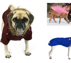 Top 10 Winter Coats For Dogs Of 2015/2016