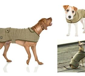 top 10 winter coats for dogs of 2015 2016