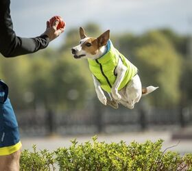 Help Kickstart AiryVest, the World’s Lightest Dog Vest