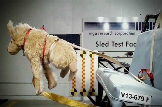 warning 86 of car pet restraints fail cps crash tests