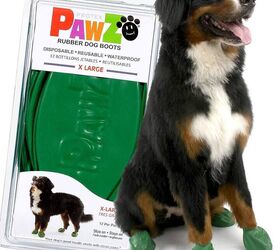 Keep Your Puppys Paws Protected With Anti Scratch Anti Dirty Non