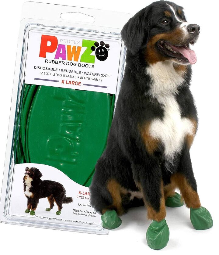 9 fresh ways to keep your dogs paws clean