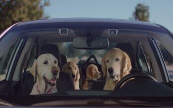 Subaru’s New Puppy Bowl Ads Bring Back the Barkleys [Video]