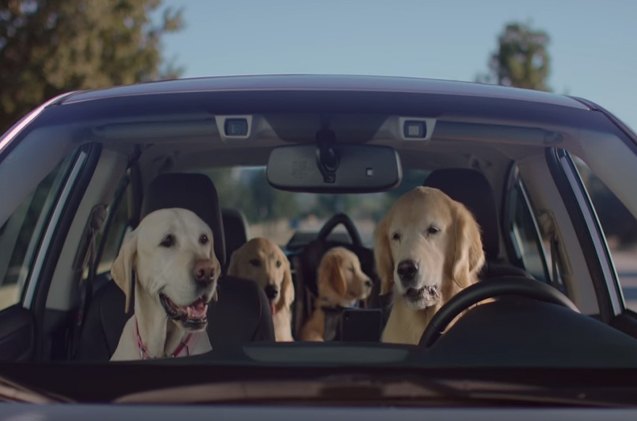 subarus new puppy bowl ads bring back the barkleys video