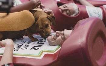 Heinz is All About Showing Wiener (Dogs) During Super Bowl Ad [Video]