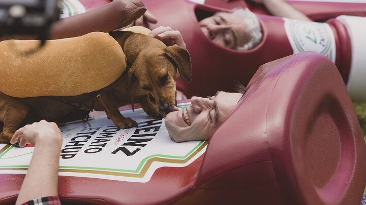 heinz is all about showing wiener dogs during super bowl ad video