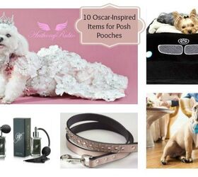 10 Oscar-Worthy Swag Bag Accessories for Chic Canines