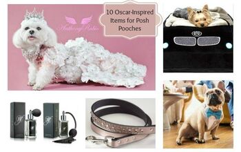 10 Oscar-Worthy Swag Bag Accessories for Chic Canines