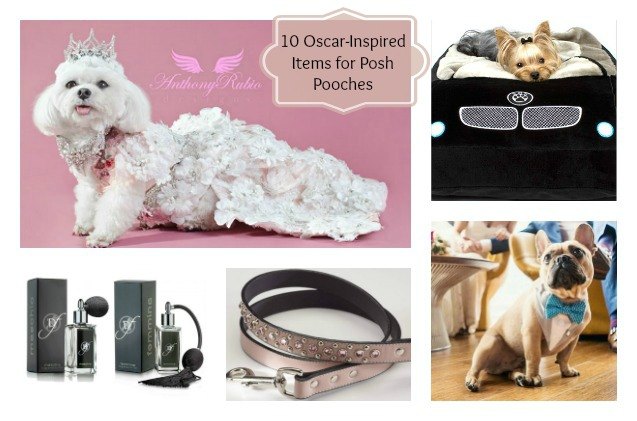 10 oscar worthy swag bag accessories for chic canines