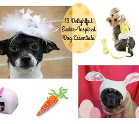 13 delightful easter inspired dog essentials