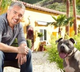 ‘Dog Whisperer’ Cesar Millan Under Investigation After Animal Crue