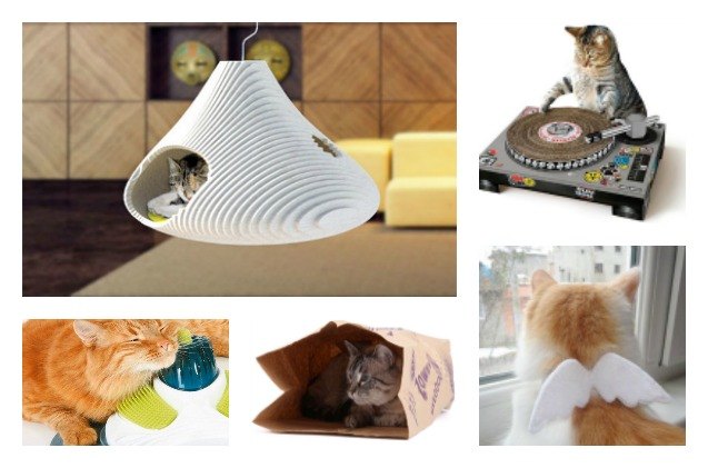 feline favors to calm your cat