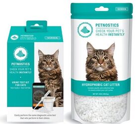 Pestnostics’ AtHome Urine Test Alerts You to Common Pet Illnesses