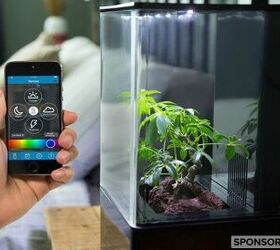 Go Green With EcoQube Air, the World’s First Desktop Greenhouse For 