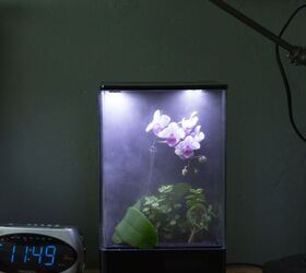 go green with ecoqube air the worlds first desktop greenhouse for