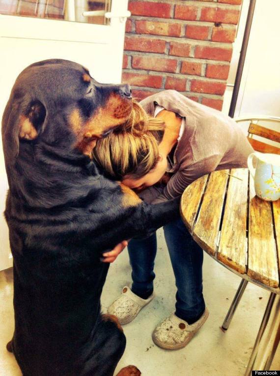10 reasons why a dog is the only man youll ever need