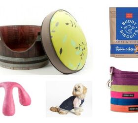 11 sustainable pooch products
