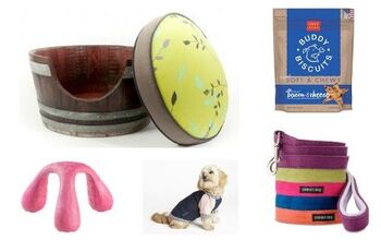 11 Sustainable Pooch Products