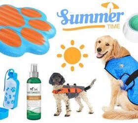 The Best Summer Essentials For Your Dog