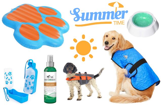 top 10 summer essentials for your dog