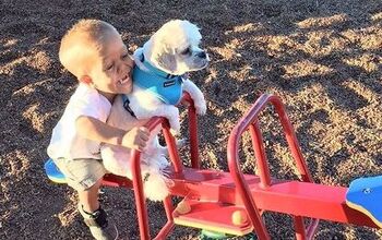 Here’s How One Boy and His Tiny Dog Stood Tall Against Bullies