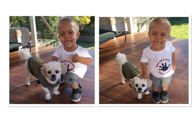 heres how one boy and his tiny dog stood tall against bullies