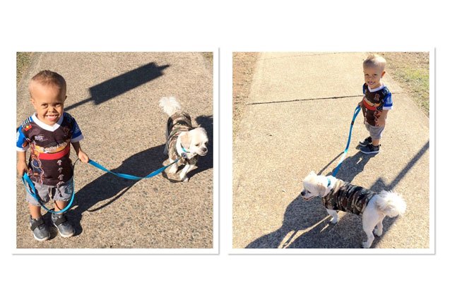 heres how one boy and his tiny dog stood tall against bullies